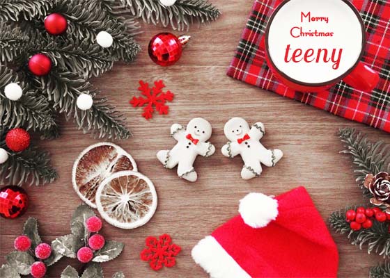 きものdeクリスマス